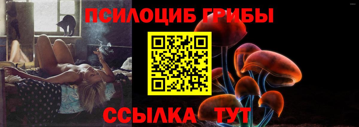 Галлюциногенные грибы GOLDEN TEACHER  Псилоцибиновые грибы Psilocybine cubensis  Вход с VPN  Электросталь 